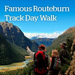 Famous Routeburn Track